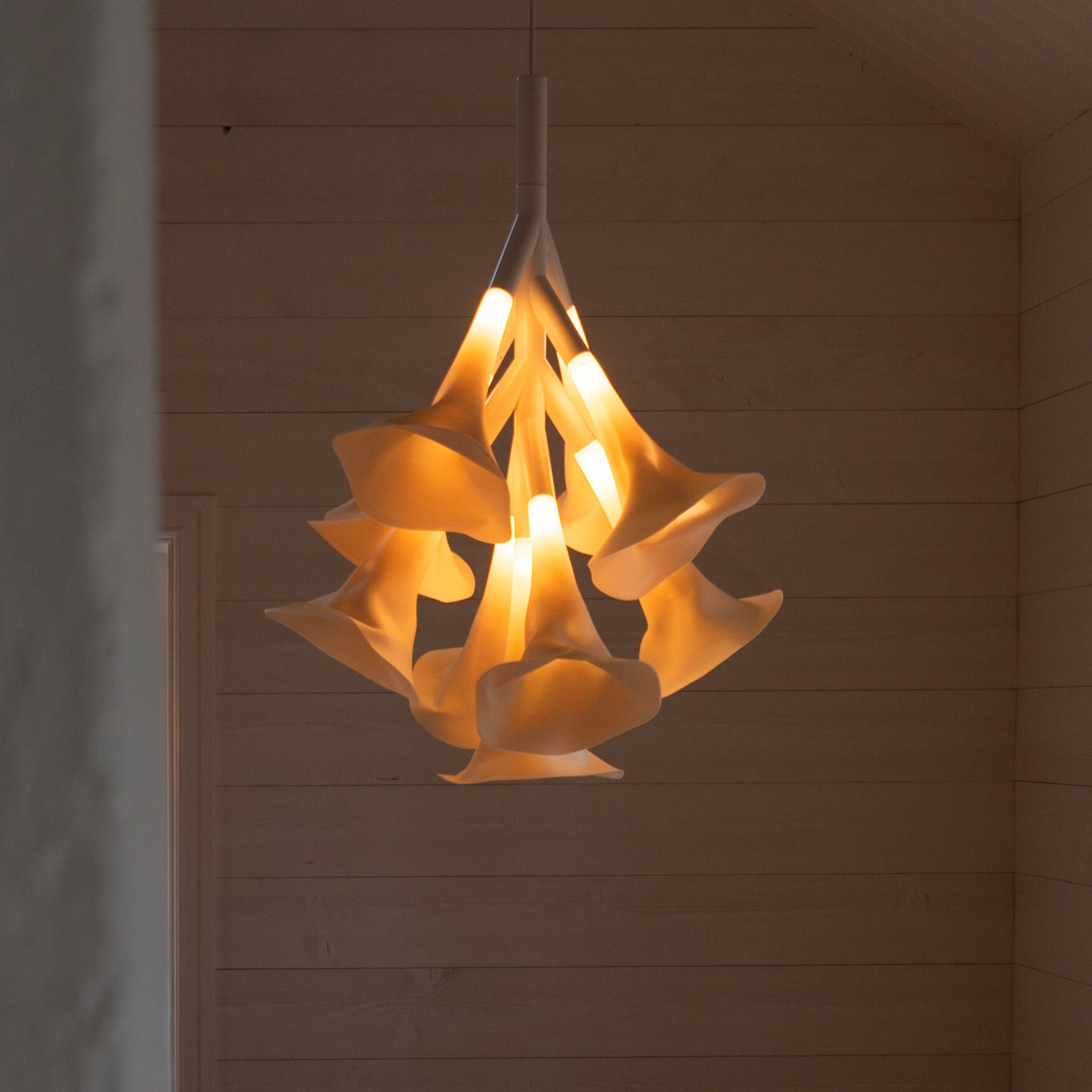 Fungk - Pyr - 3D Printed Lamp